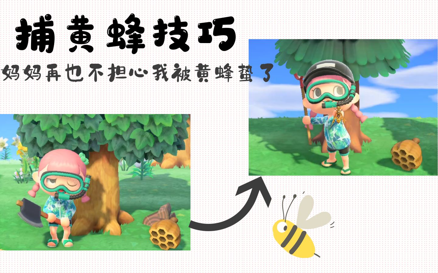 最新捕马蜂攻略大揭秘🐝