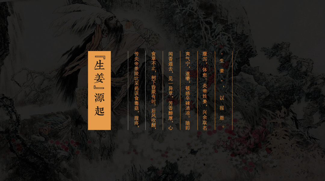 最新冷门剧,值得挖掘的艺术瑰宝还是被忽视的流行元素?