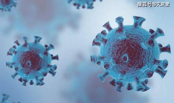 晴子最新,拥抱自然,寻找内心的宁静之旅