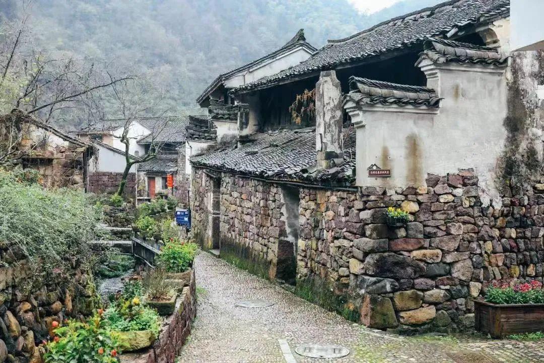 紫屋最新,背景、事件与地位的深度剖析