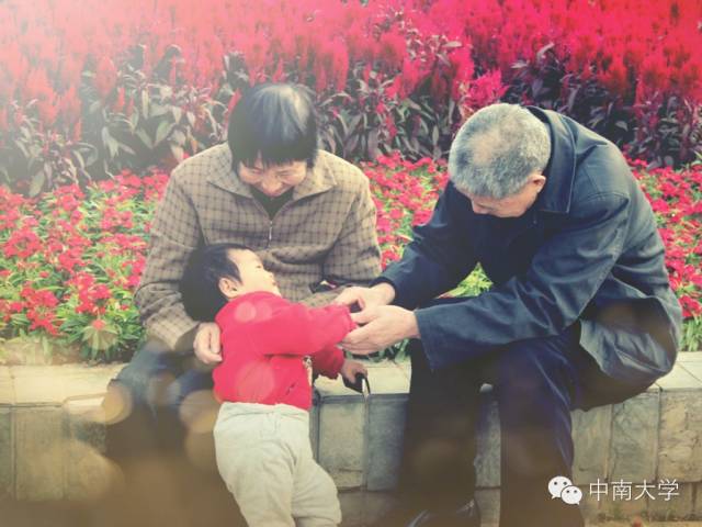 天涯时事最新,故事传递爱与陪伴的温馨瞬间