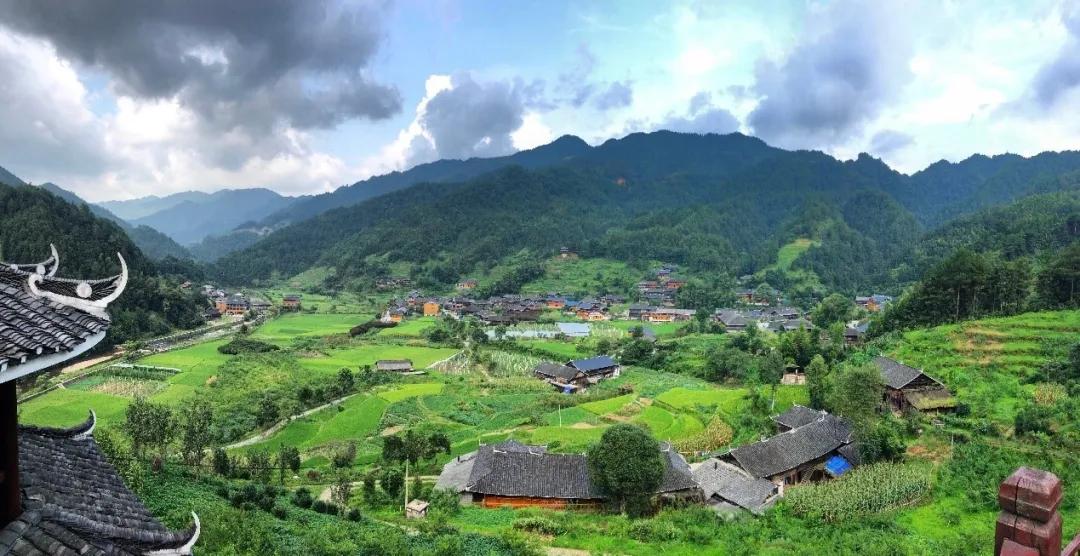 新化肺炎最新动态,科学解读,积极应对