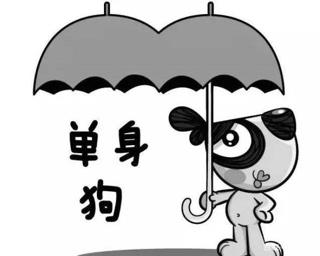 过分偏爱最新,时代潮流下的双刃剑效应