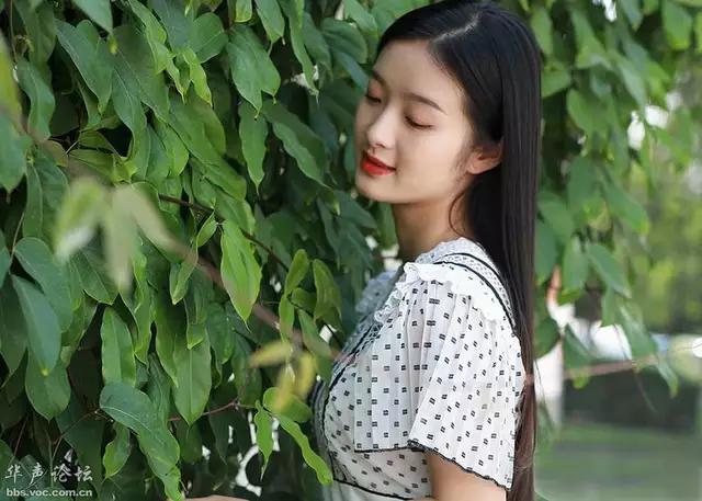 公证最新动态,与自然美景的亲密邂逅,寻找内心的宁静之旅