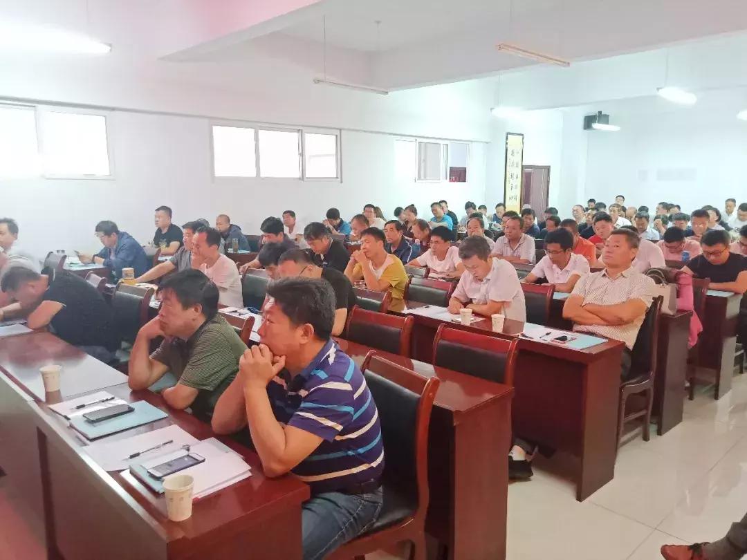 唐县最新资讯及其影响,深入分析与观点阐述