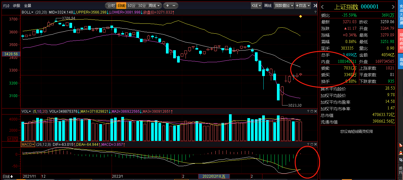 最新价格资讯,洞悉市场动态,把握商机
