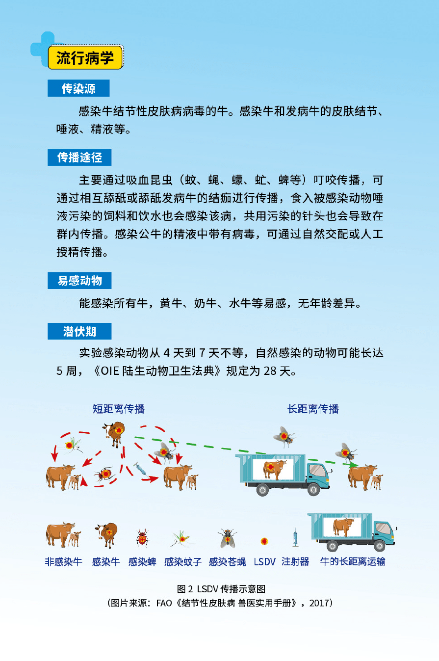 最新牛疫病,科普解读与应对之策