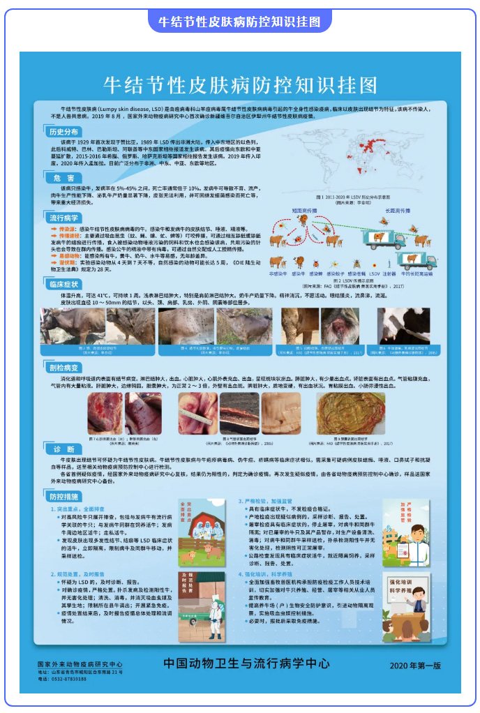 最新牛疫病,科普解读与应对之策