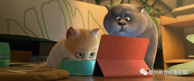 猫最新动漫,时代之光下的猫之影