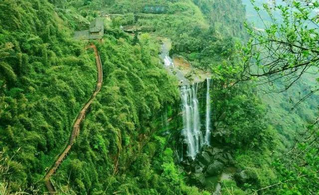 驱虎最新,一场与自然美景的轻松邂逅