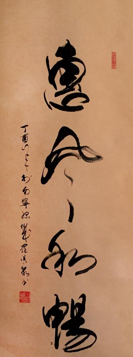 缤纷好友最新,一场自然美景的探险之旅,寻找内心的平和与宁静