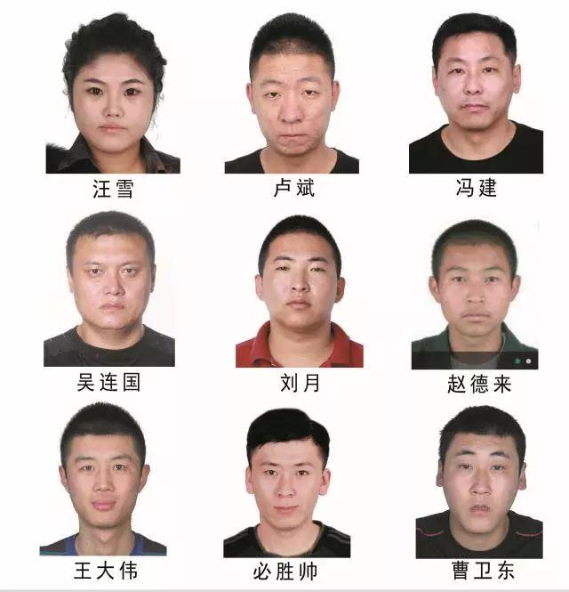 白城最新通告的观点论述