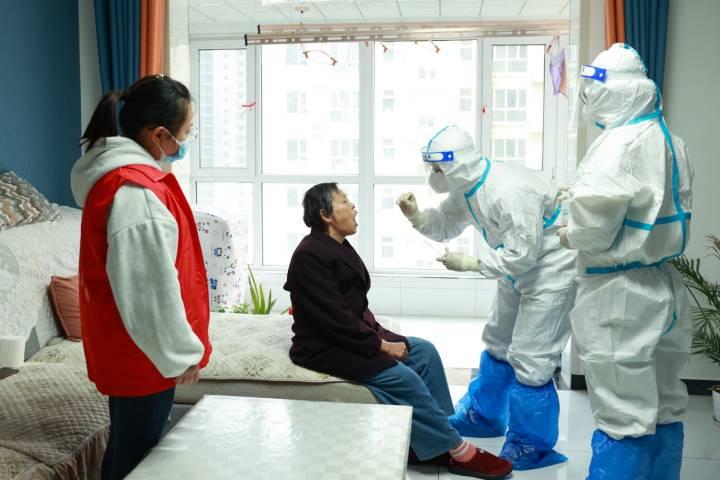 最新疫情辛集,一场自然美景的探索之旅