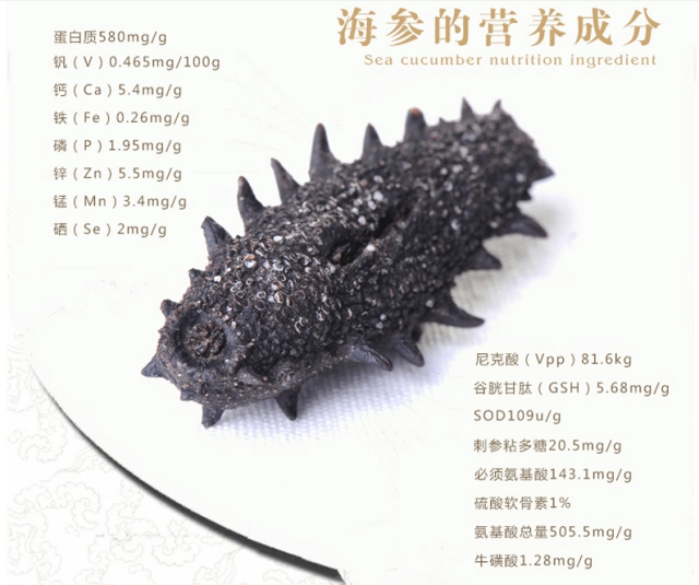 最新海参,海洋的馈赠与时代地位