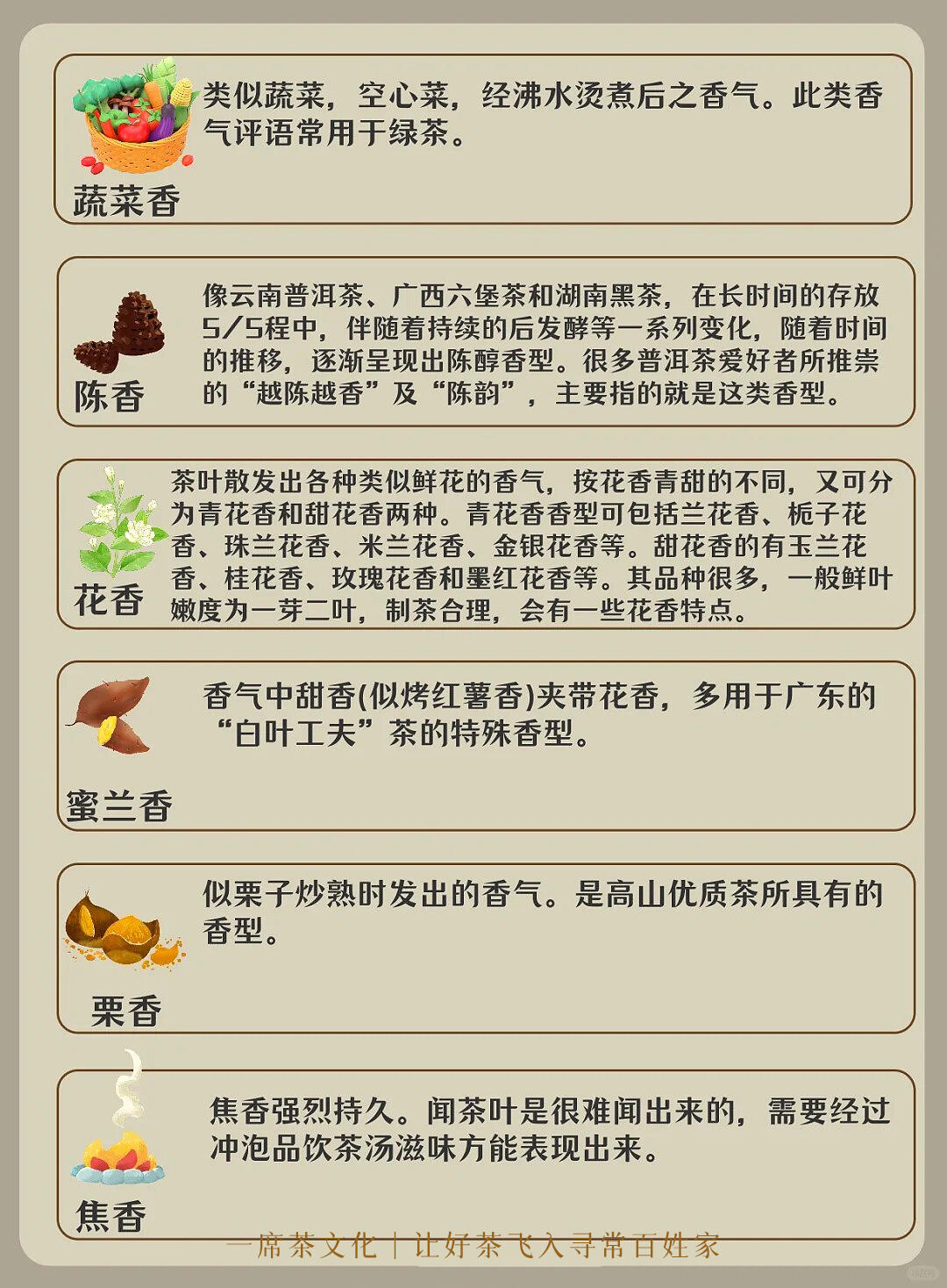 哪种香最新?香气大解密🔍
