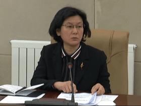 政府债最新动态,发展趋势、影响及应对策略