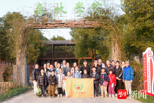 沙田镇的最新日常,友情与陪伴的温馨篇章