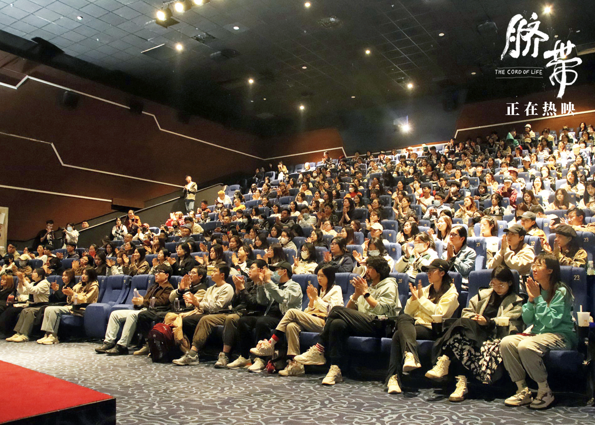 最新顶部电影,电影院的奇遇与友情的温暖