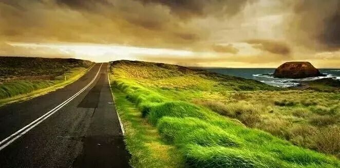 内容紧跟最新,一场自然美景的旅行,寻找内心的平和与宁静