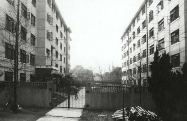 老太欧洲最新,探索欧洲老年人的生活变迁与时代风貌