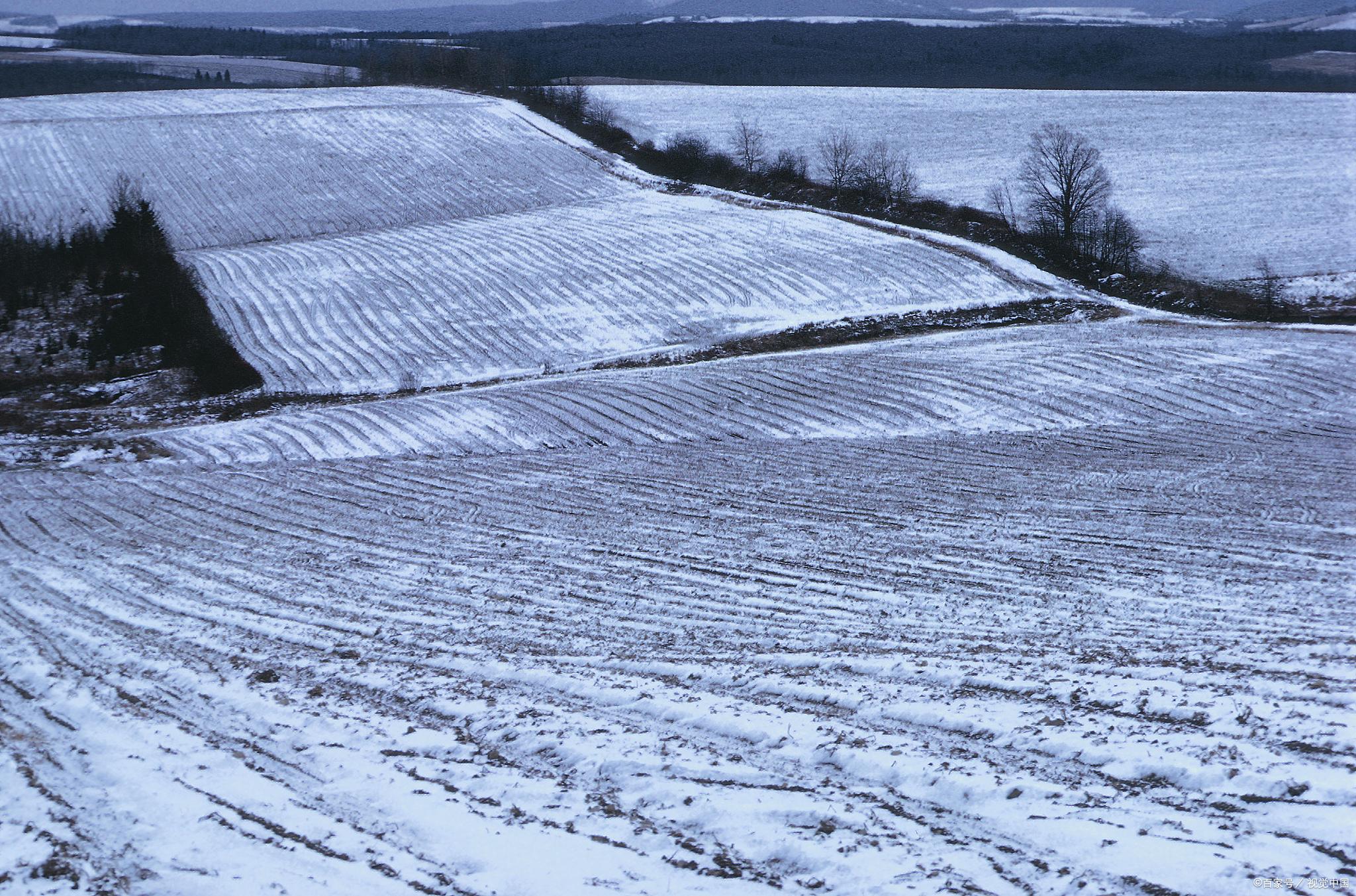 16省最新动态,时代的脉搏在跃动