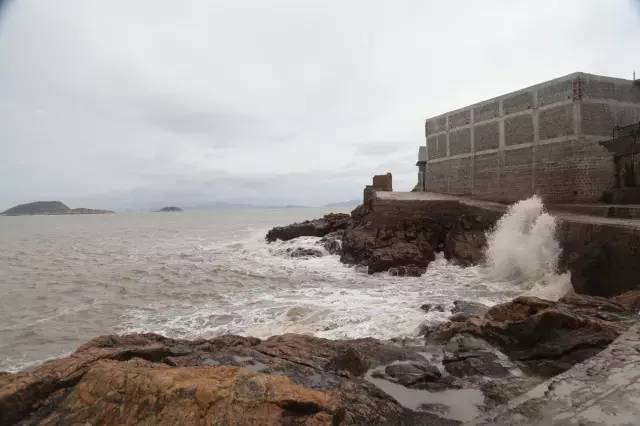 台风最新迹象,一场奔赴自然的奇妙旅行