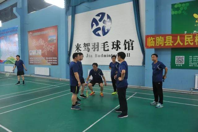 临朐马最新,带你领略不一样的风采✨