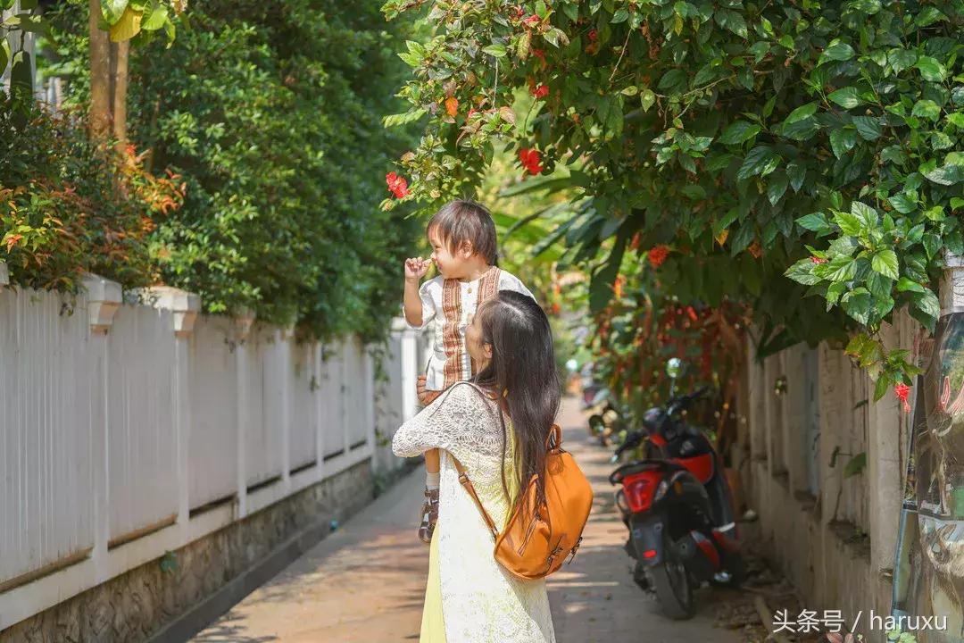 老挝铁路最新动态,小巷深处的独特风情与一家迷人小店