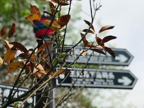 船员最新动态,探索自然美景的旅程,寻找内心的平静