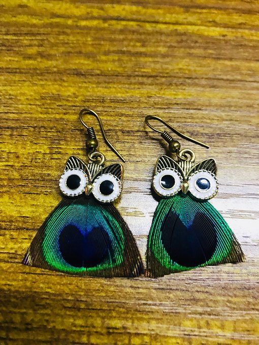 船员最新动态,探索自然美景的旅程,寻找内心的平静