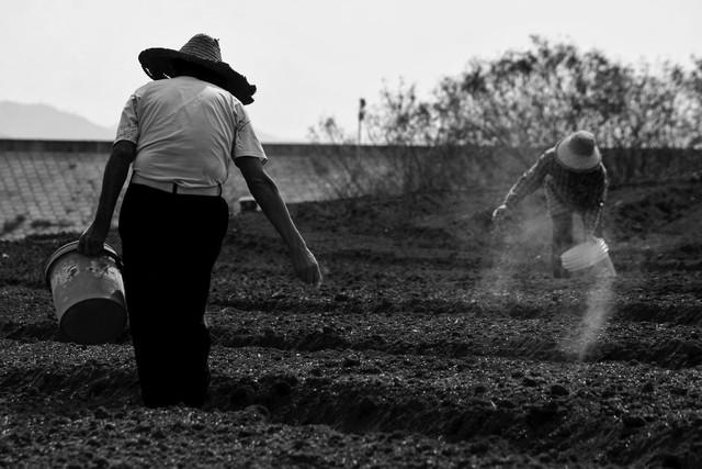 最新疫情国内数据带来好兆头,是时候探索自然美景,寻找内心的平静了!