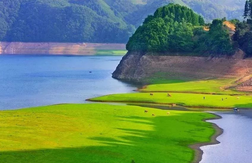 最新欧赔对比,一场自然美景的探索之旅