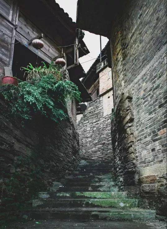 荔波最新招考,小巷深处的独特机遇