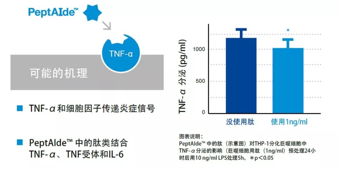 创新性计划解析：2024新澳最精准资料_1440p48.47.94