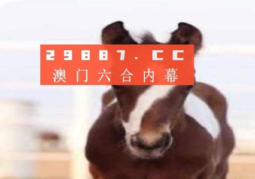 澳门一码一码100最准玩法揭秘全新技巧分享攻略_全网热荐