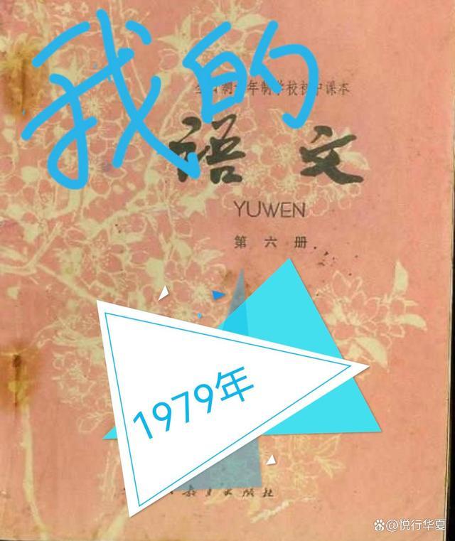 小说我的1979最新