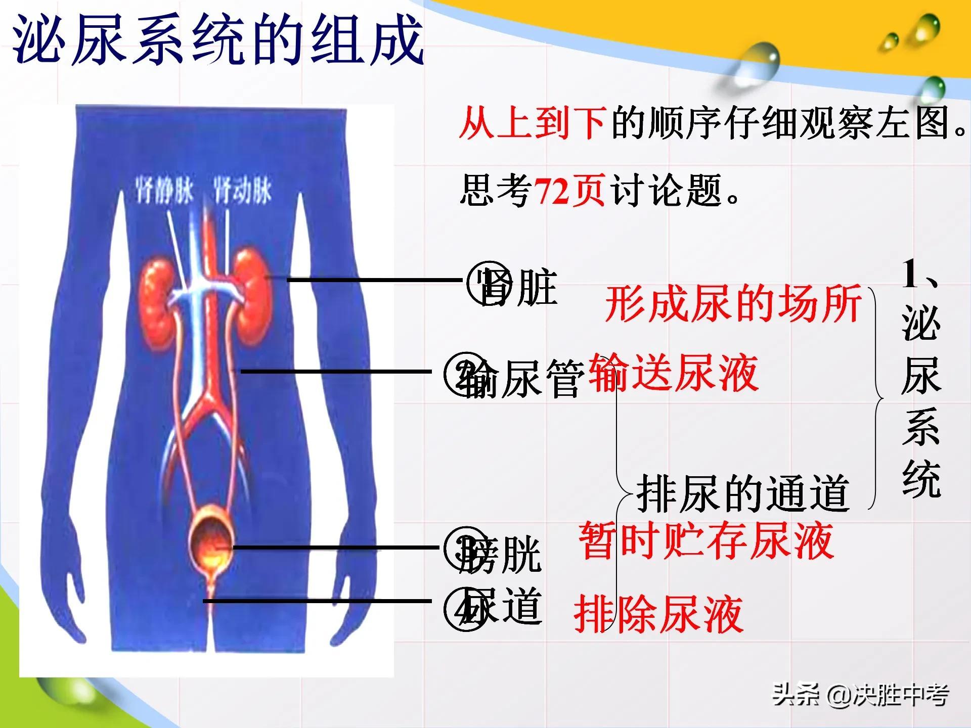 荣耀8青春版最新系统,持续性实施方案_声学版9.69.743