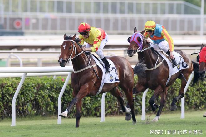 香港特马王资料内部公开_美国学生失联的最新消息,实地数据评估分析_明星版6.26.477