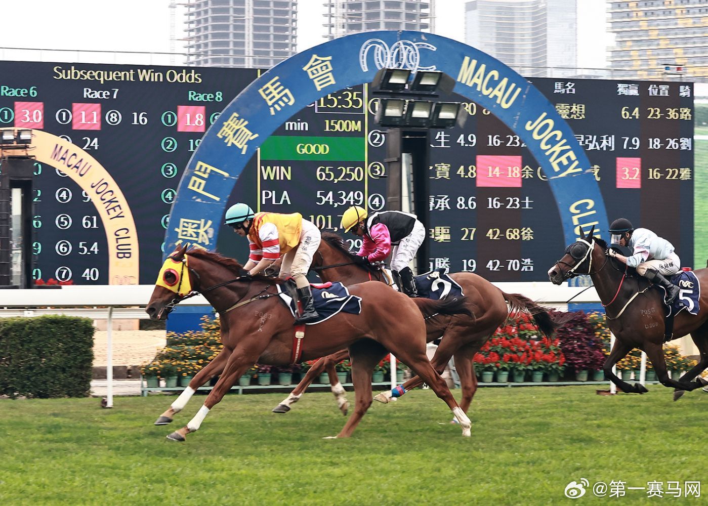 香港内部马料免费资料亮点,跨部门响应落实计划_标配集33.155