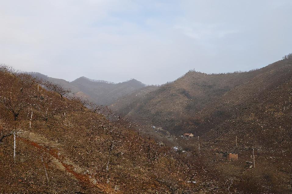 宽甸最新出租楼房，多样选择与居住体验的优化