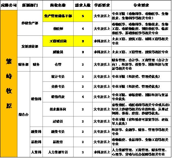 新奥门天天资料,稳固执行方案计划_ENQ94.517光辉版