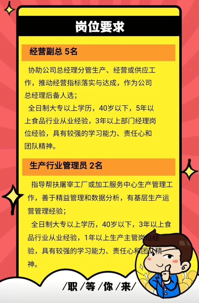 乍浦最新招聘信息今日揭秘，开启求职之旅的奇妙之门