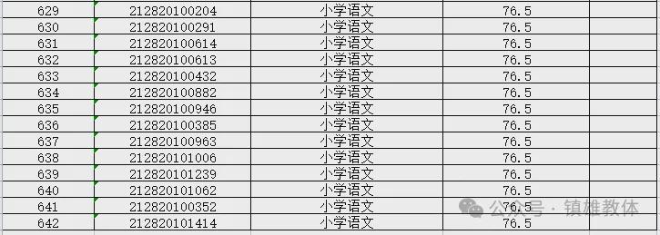 2024新澳6合资料大全,实用性解读策略_INM94.741艺术版