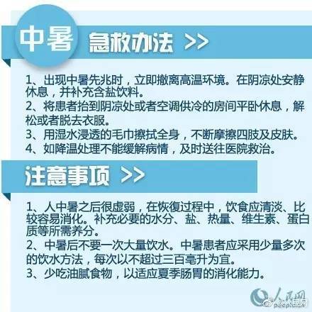 新澳门幽默猜测,新式数据解释设想_RYN79.505收藏版