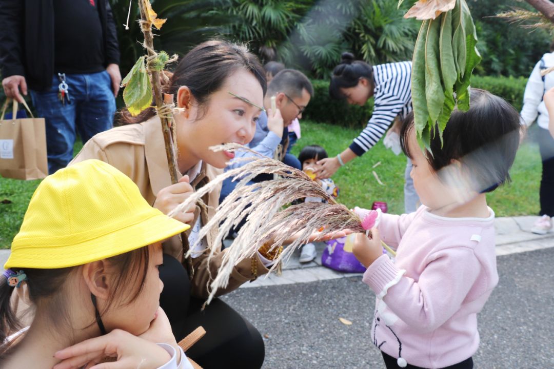 昆明中望城最新动态，一场自然美景的探索之旅