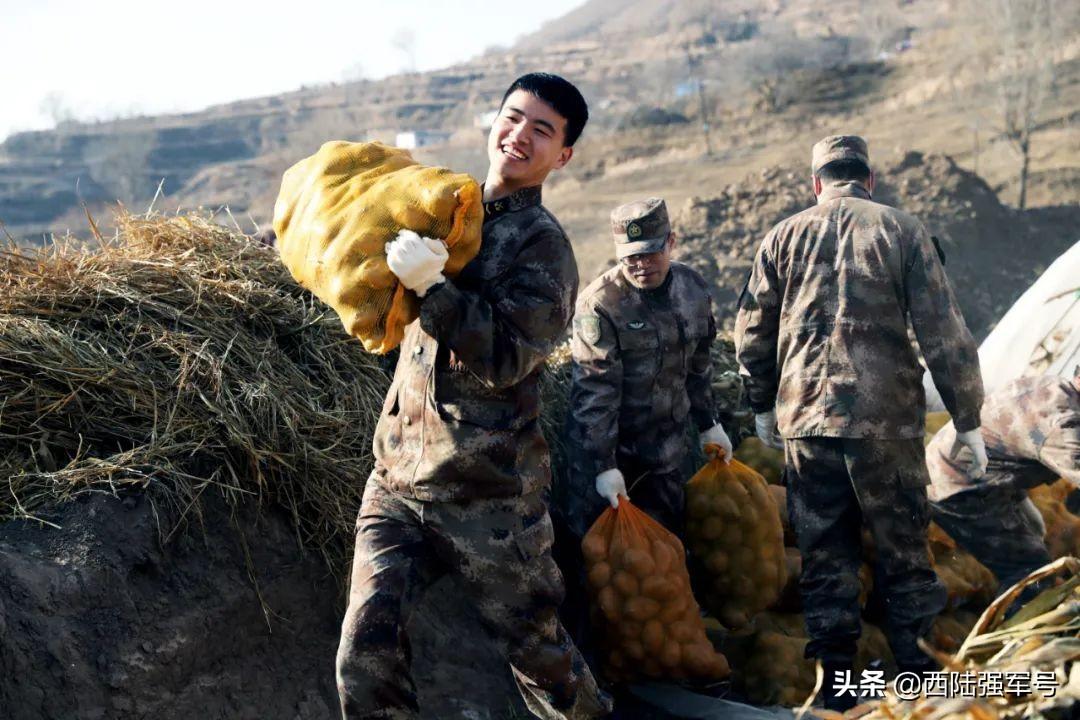 揭秘土豆最新价格——科技重塑土豆价值，体验未来生活新篇章