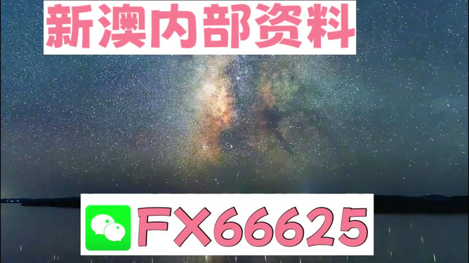 新澳天天彩免费资料大全查询,灵活性执行方案_VUZ23.927神念境