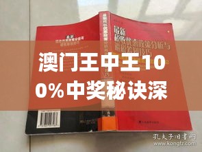 澳门王中五928244C0m,专业地调查详解_JRT23.377并行版