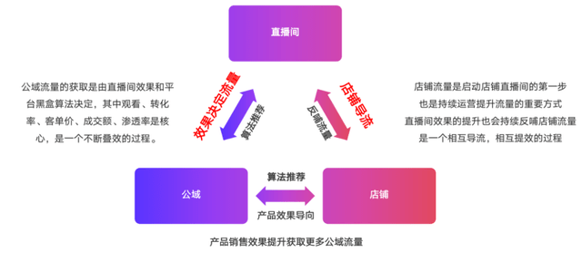 2024今晚香港开特马第26期,科学解释分析_电商版85.781