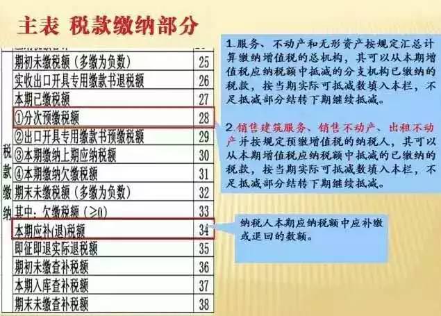 林美兰最新，如何完成一项任务或学习一种技能的详细步骤指南